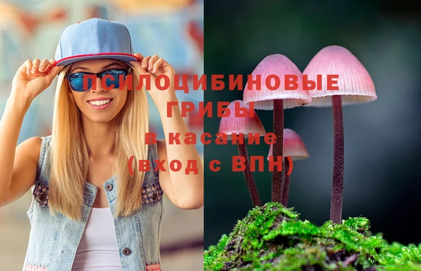 дурь Новозыбков