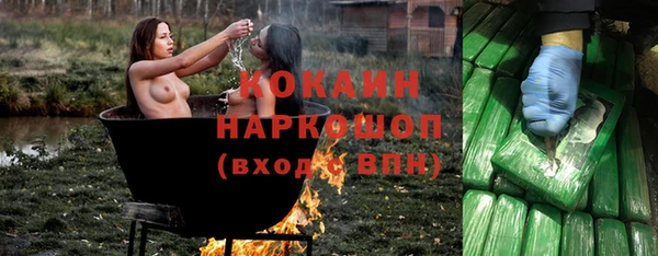 spice Арсеньев