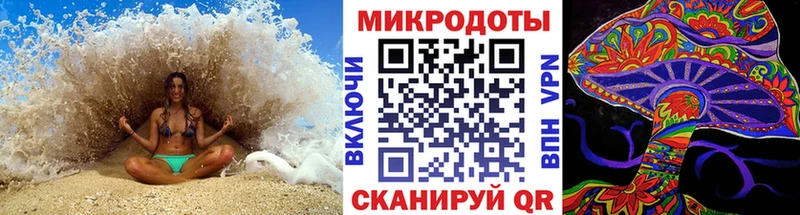 закладки  Лукоянов  Псилоцибиновые грибы Psilocybine cubensis 